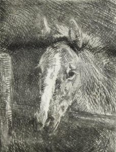 Josef Woldemar Keller-Kühne: Junges Pferd (Galerie)